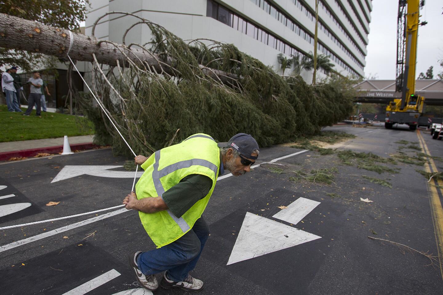 96-Foot Christmas Tree Makes Its Way To South Coast Plaza - CBS Los Angeles