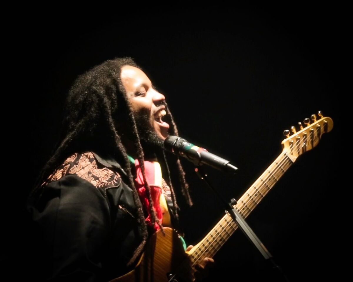 A man with dreadlocks plays the guitar and sings into a microphone 