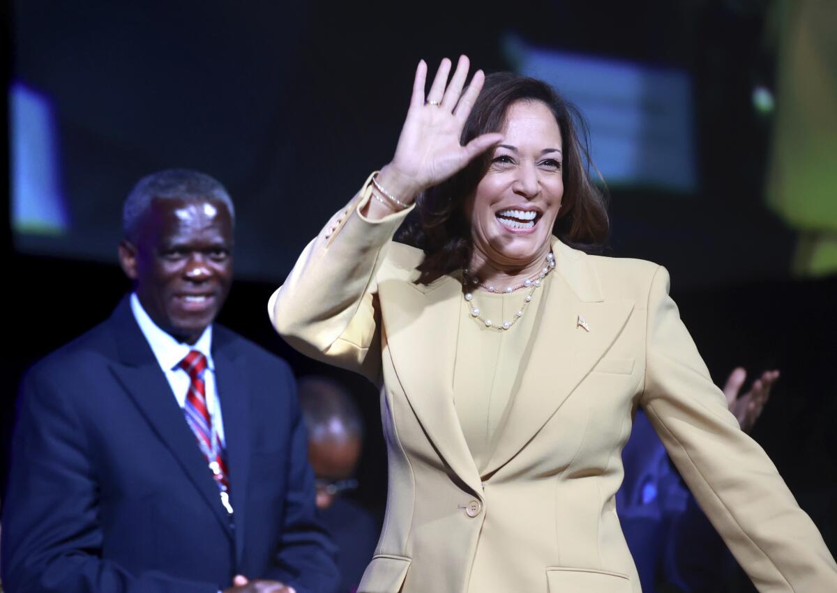 Vice President Kamala Harris takes the stage and waves at a convention