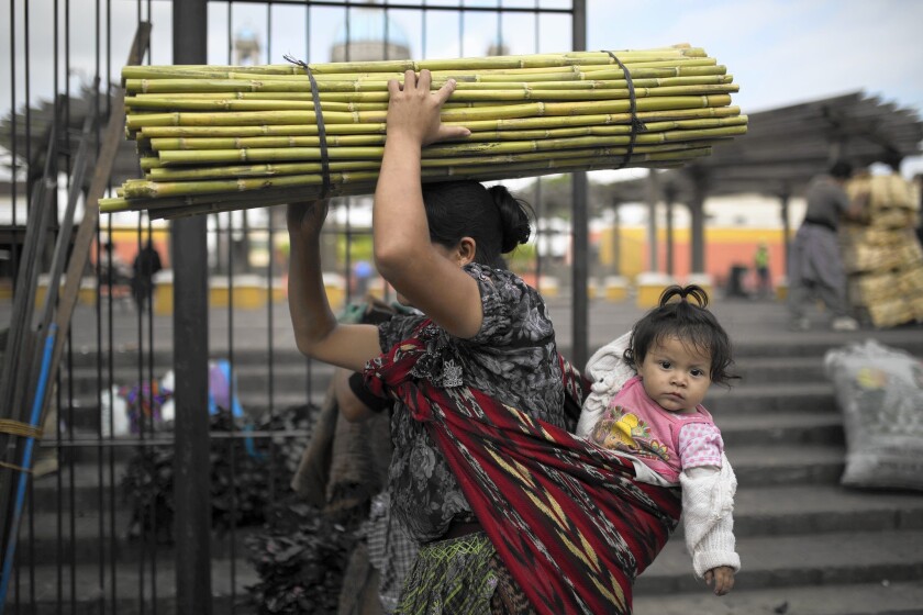 A woman leaves the market in Guatemala City with a bundle of bamboo culms.