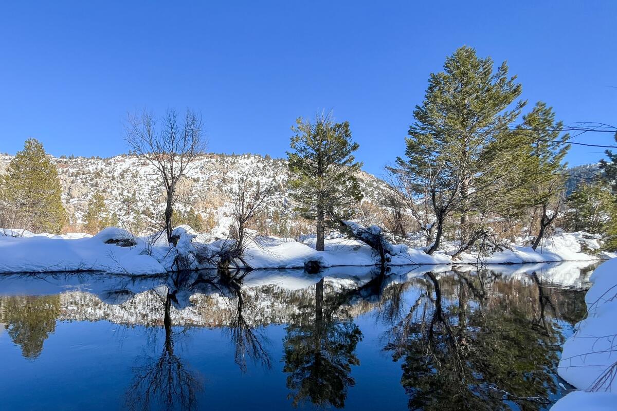 Um lago refletindo árvores e coberto de neve.
