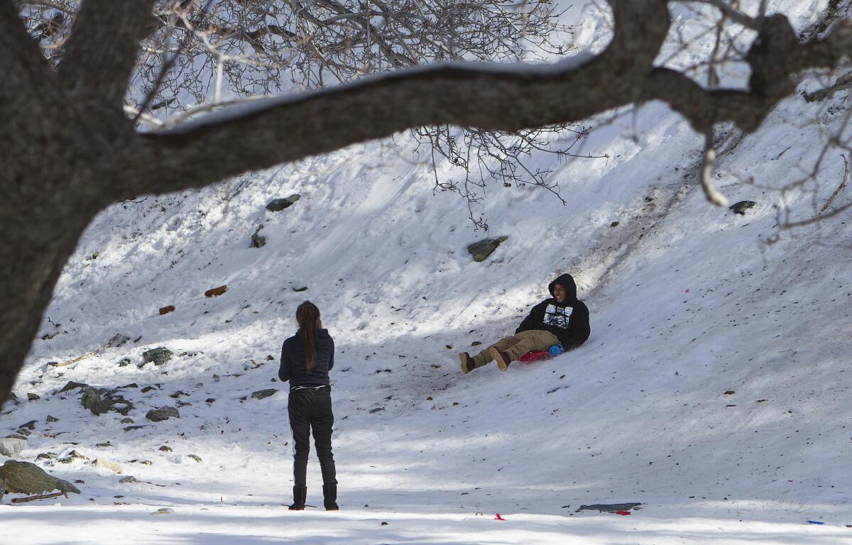 Rodrigo Velazquez of Baldwin Park sleds down a snow-covered slope as his friend Mariani Velasco watches off Mt. Baldy Road after a storm brought snow to the area Dec. 15.