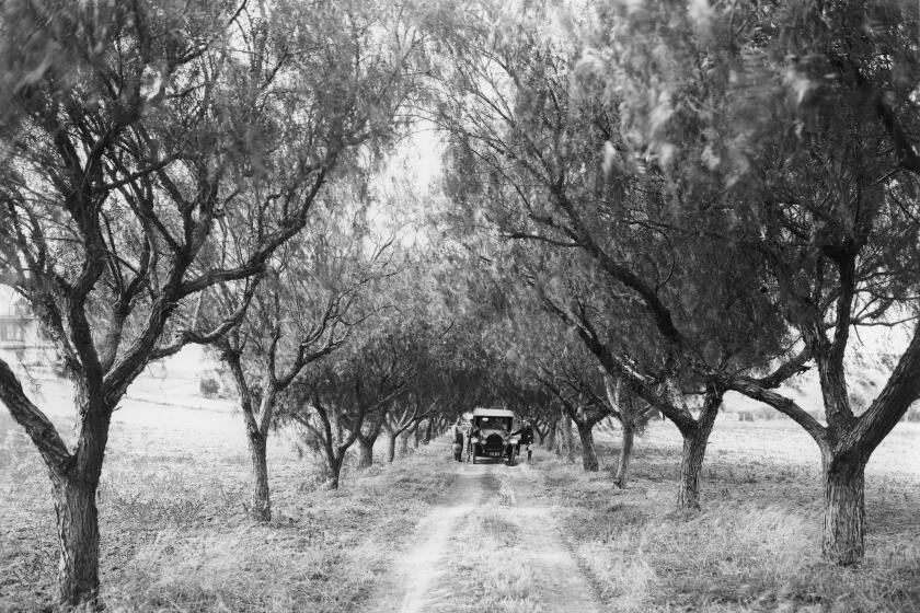 Pepper Drive in El Cajon, 1920.
