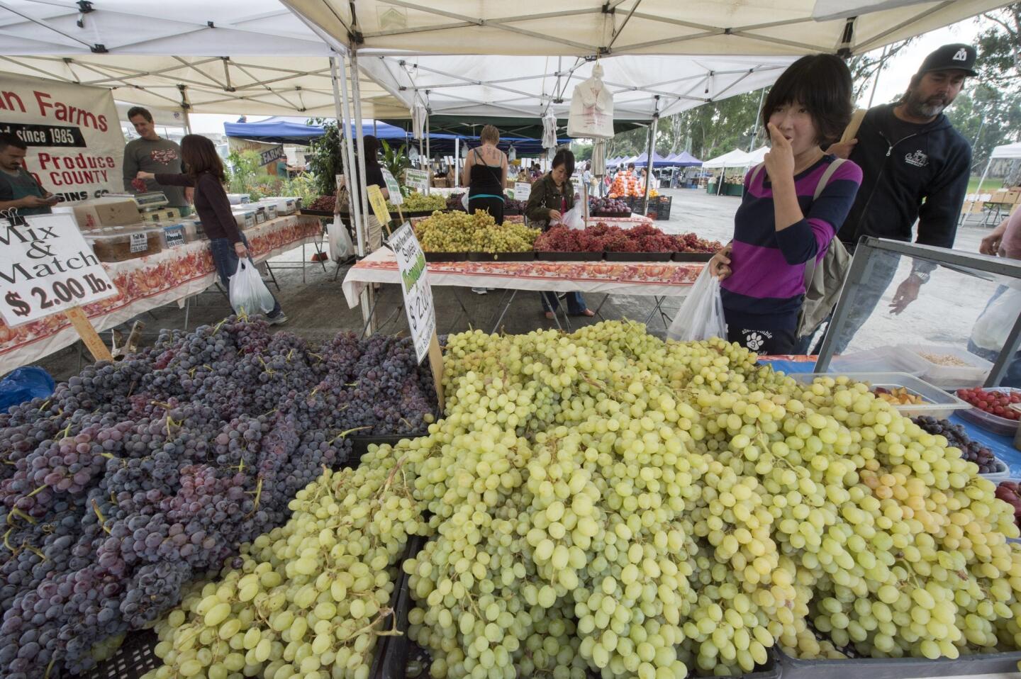 Mark Boujikian sells Thomcord and Princess grapes grown in Raisin City.