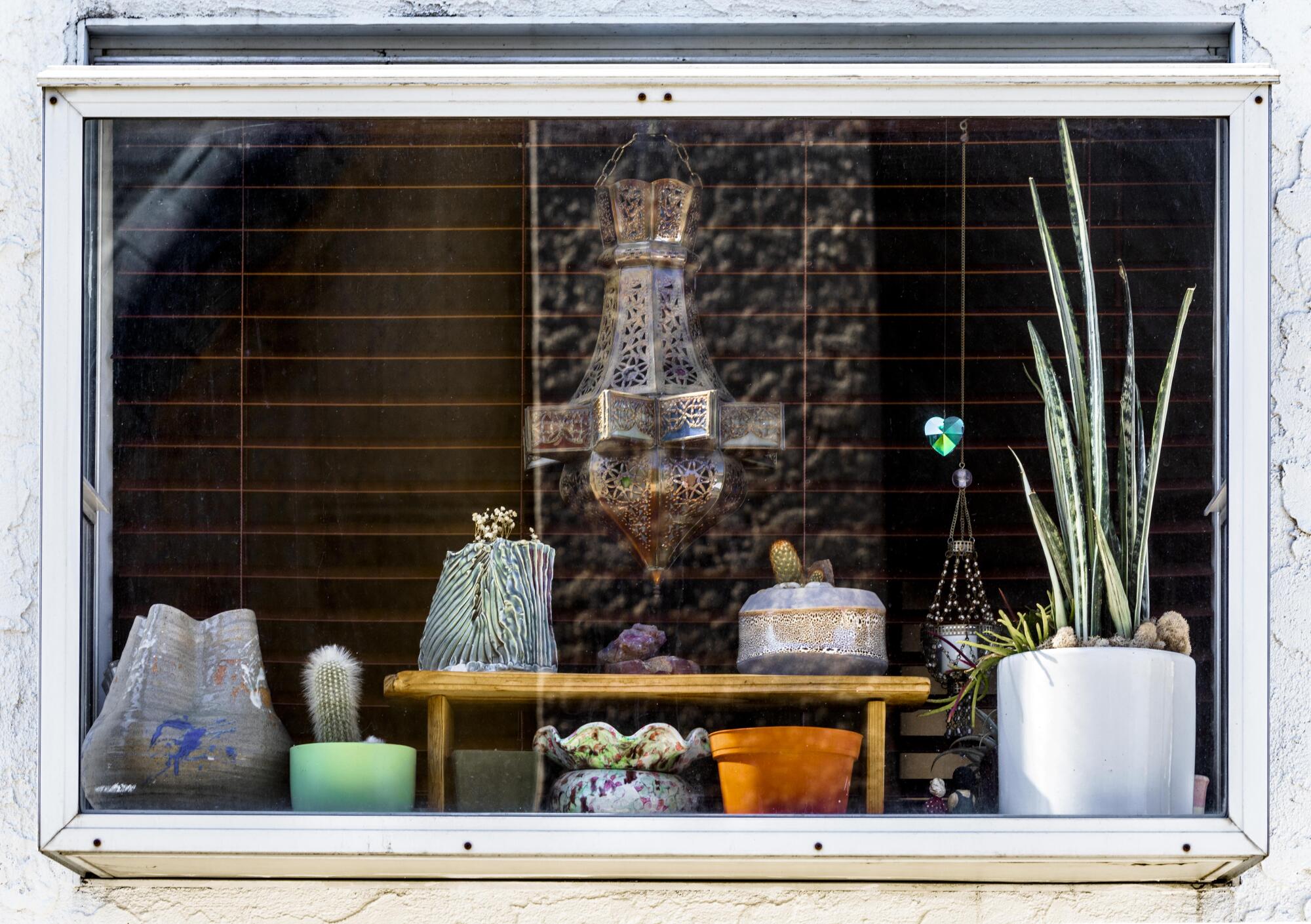 A glass box window on the side of Brandy Williams’ home filled with plants and cacti in containers