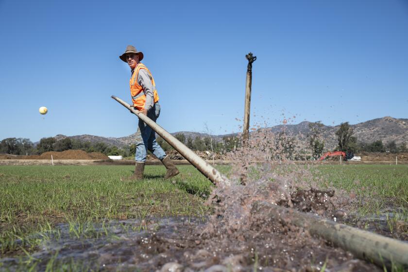 Frank Konyn changes an irrigation line in a field of rye grass on Friday, Nov. 5, 2021 in Escondido , California.