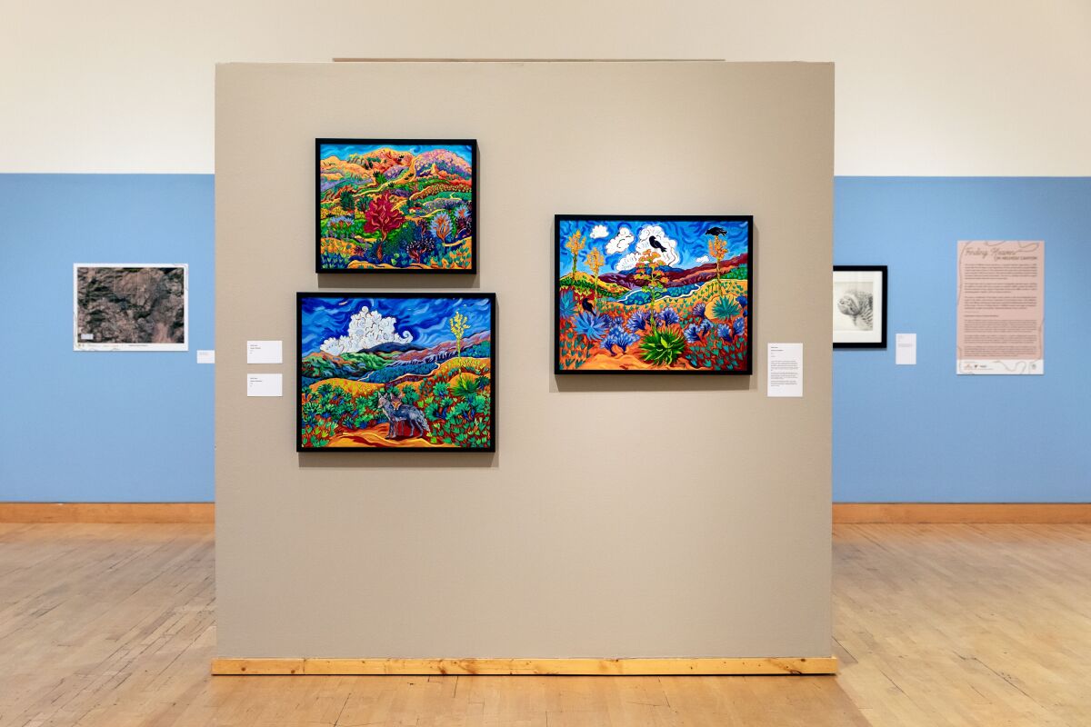 Oil paintings of local landscapes by artist Cathy Carey, in the exhibition "Finding Heaven in Hellhole Canyon" at the California Center for the Arts: Canyon Consultation (right), Canyon Companions (bottom), Living in Paradise (top)