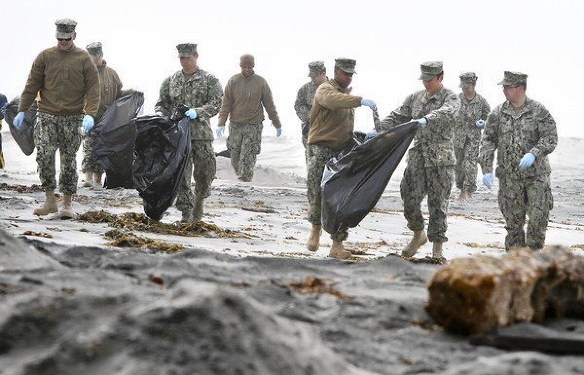 Sailors from Naval Base Coronado pick up trash along Silver Strand training beach in advance of nesting season for the Western snowy plover and California least tern, two imperiled species that use the area for breeding.