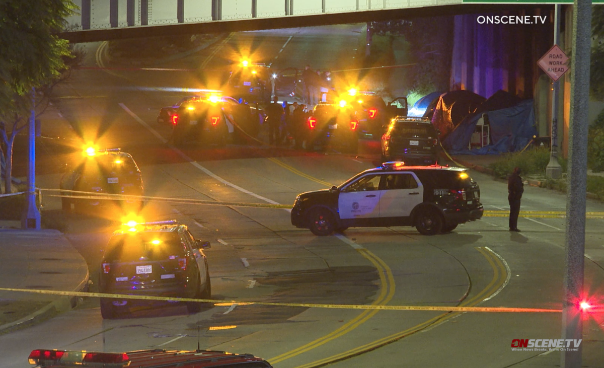 About half a dozen police cruisers are seen beneath a city overpass with lights flashing.
