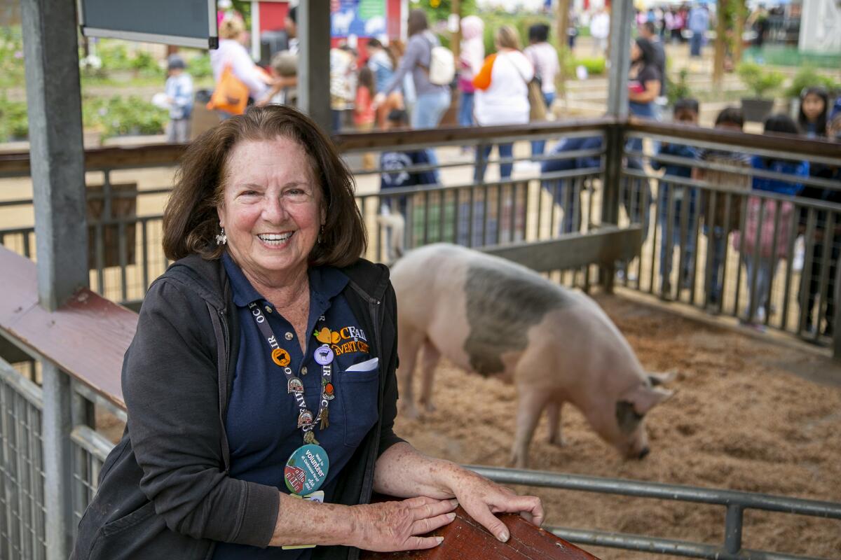 Barbara Livingston, a volunteer with Centennial Farm for the past 27 years, poses with Yorkshire Mix sow Lucy on Thursday.