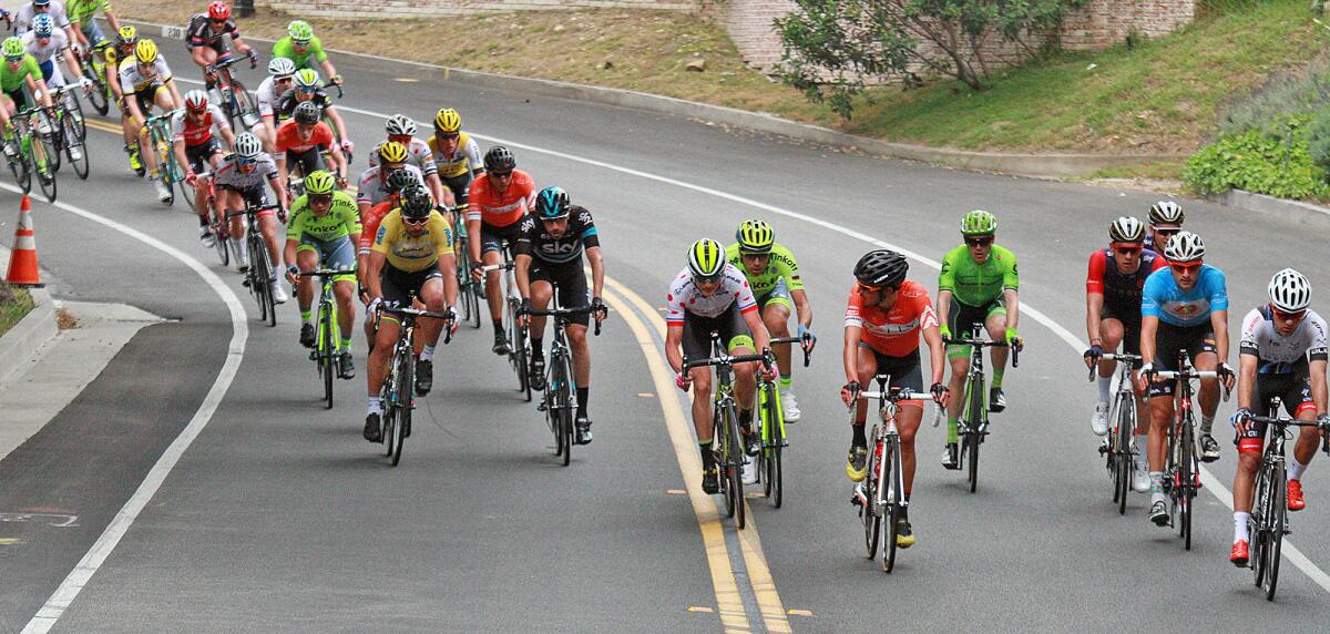 The beginning of a few hundred cyclists, riding in a large high-speed pack, descend a hill as the 2016 Amgen Tour of California passes through La Cañada Flintridge on Commonwealth Avenue near Berkshire Avenue on Monday, May 16, 2016.
