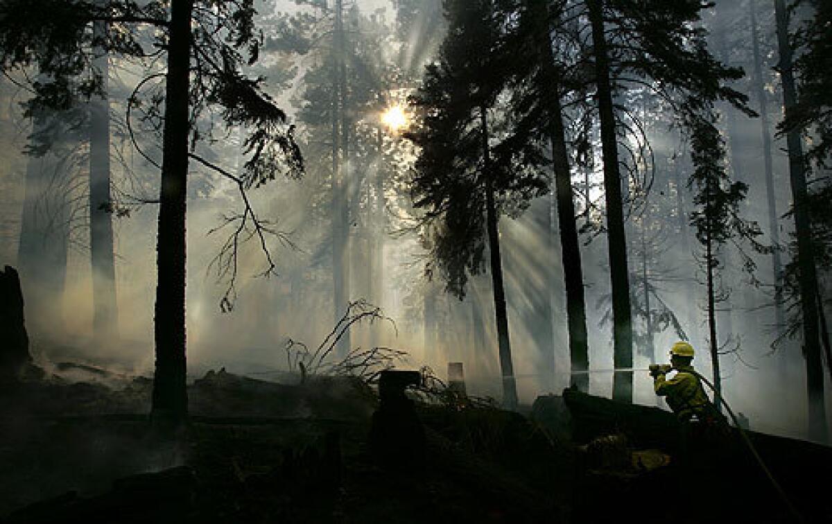 WHO WILL PAY? A U.S. Forest Service firefighter hoses down a hot spot on a hillside in South Lake Tahoe on Tuesday. The fire started Sunday and has led to evacuations of 3,000 people. Preventing and suppressing wildfires is just one government expense that increases for each Californian as the population grows.