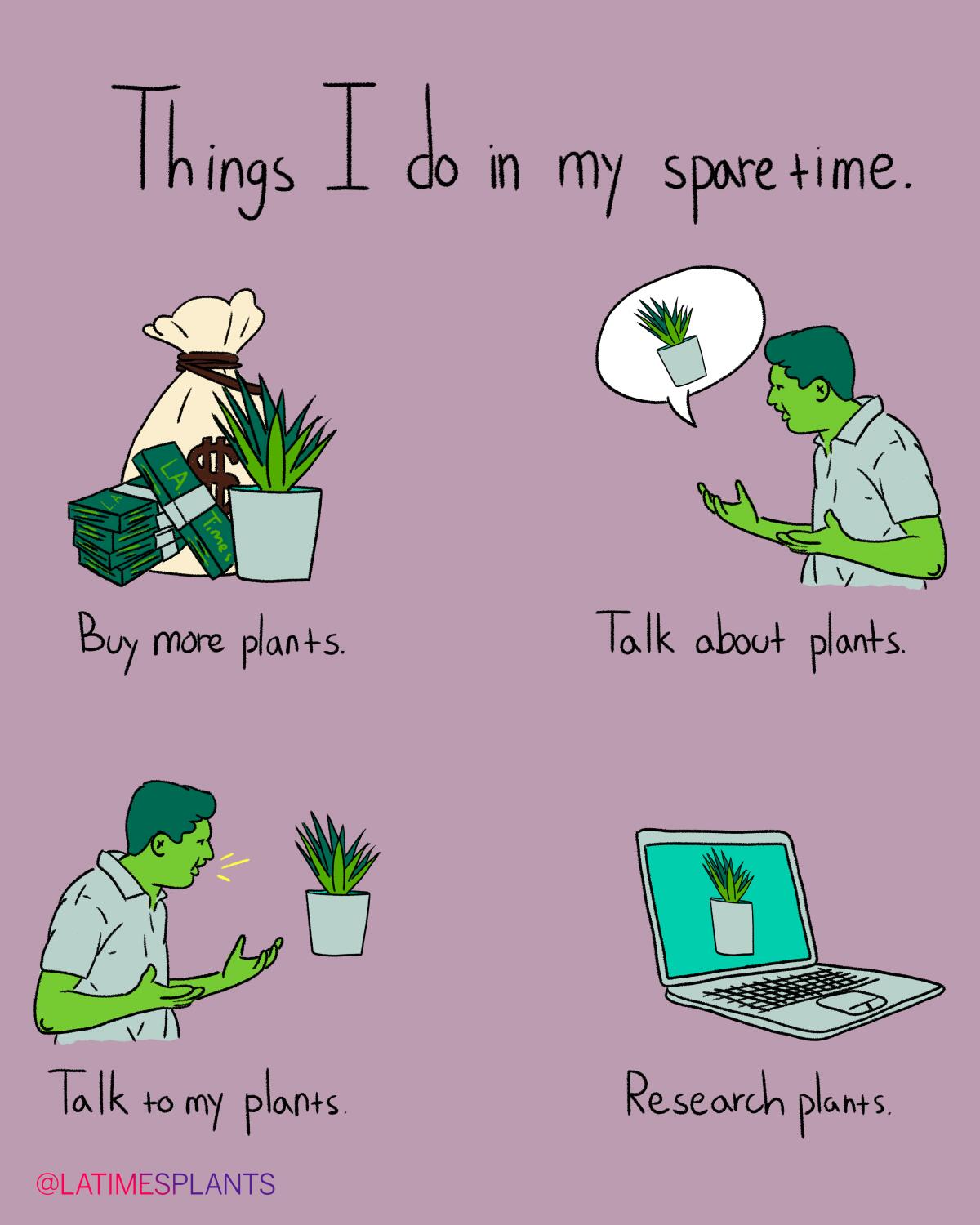Things plant lovers do in their sparetime.
