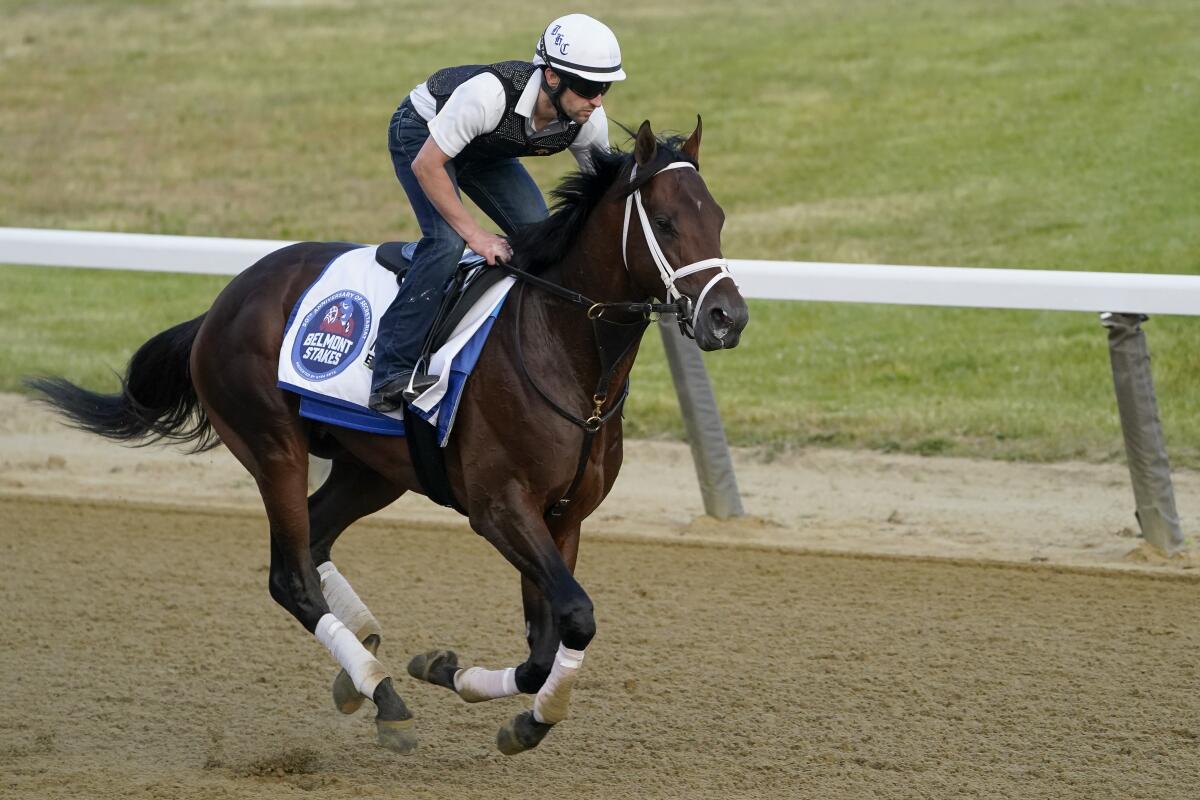 Belmont Stakes entrant Angel of Empire trains at Belmont Park on Friday.