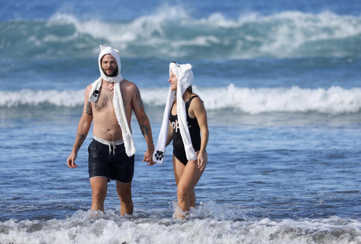 Annual polar bear plunge at La Jolla Shores serves as hangover cure,  head-clearing for the new year - The San Diego Union-Tribune