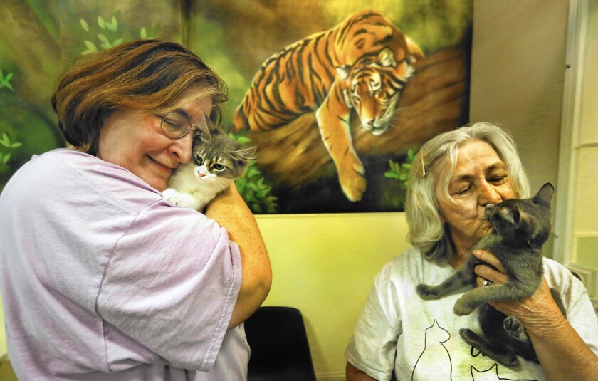 Yvette Berke, left, and Debrah Regal, are the co-founders of Petopia Animal Rescue in Woodland Hills. A court has rejected a city zoning decision that allowed the shop to operate in a commercial mall.