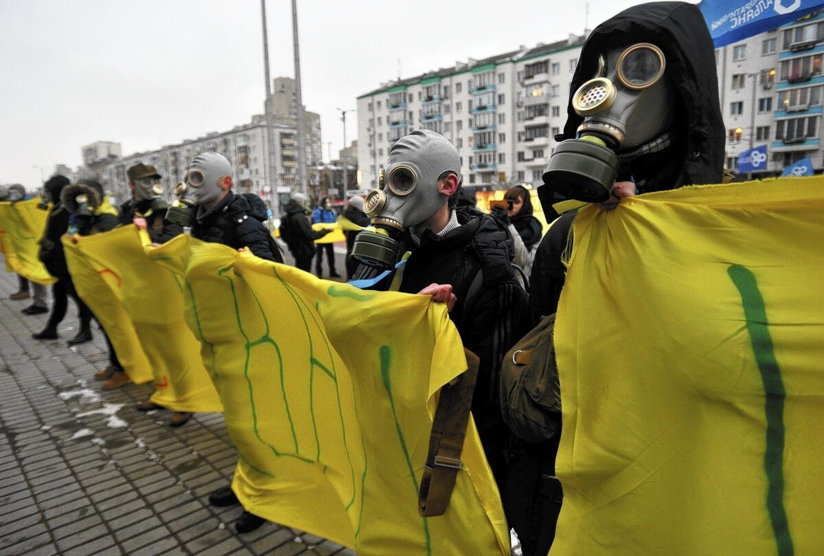 Protesters wearing gas masks hold Ukrainian national flags as they picket the Ukrainian House during a round table talks on Friday between Ukrainian President Viktor Yanukovych, former presidents and leaders of the opposition.