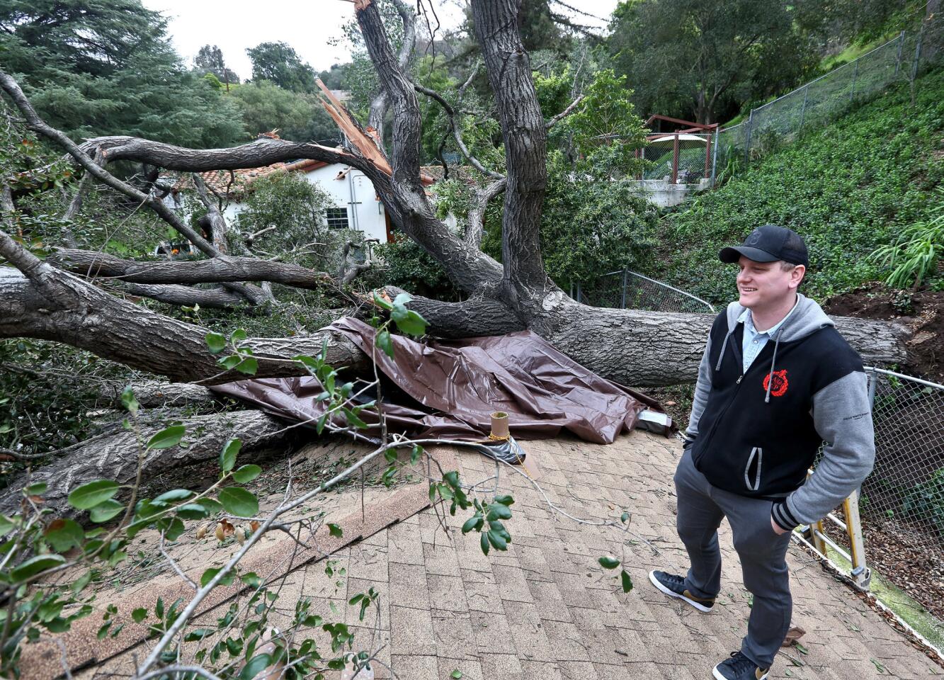 Homeowner Brant Malan stands on the roof of his home where a large old oak fell onto the roof the day before, on the 2400 block of Bywood Dr. in Glendale on Friday, Feb. 15, 2019. The tree, estimated to be around 80-100 years old, fell while Malan, his wife and young child were away. Malan said that as long as everyone is safe, material things can be replaced.