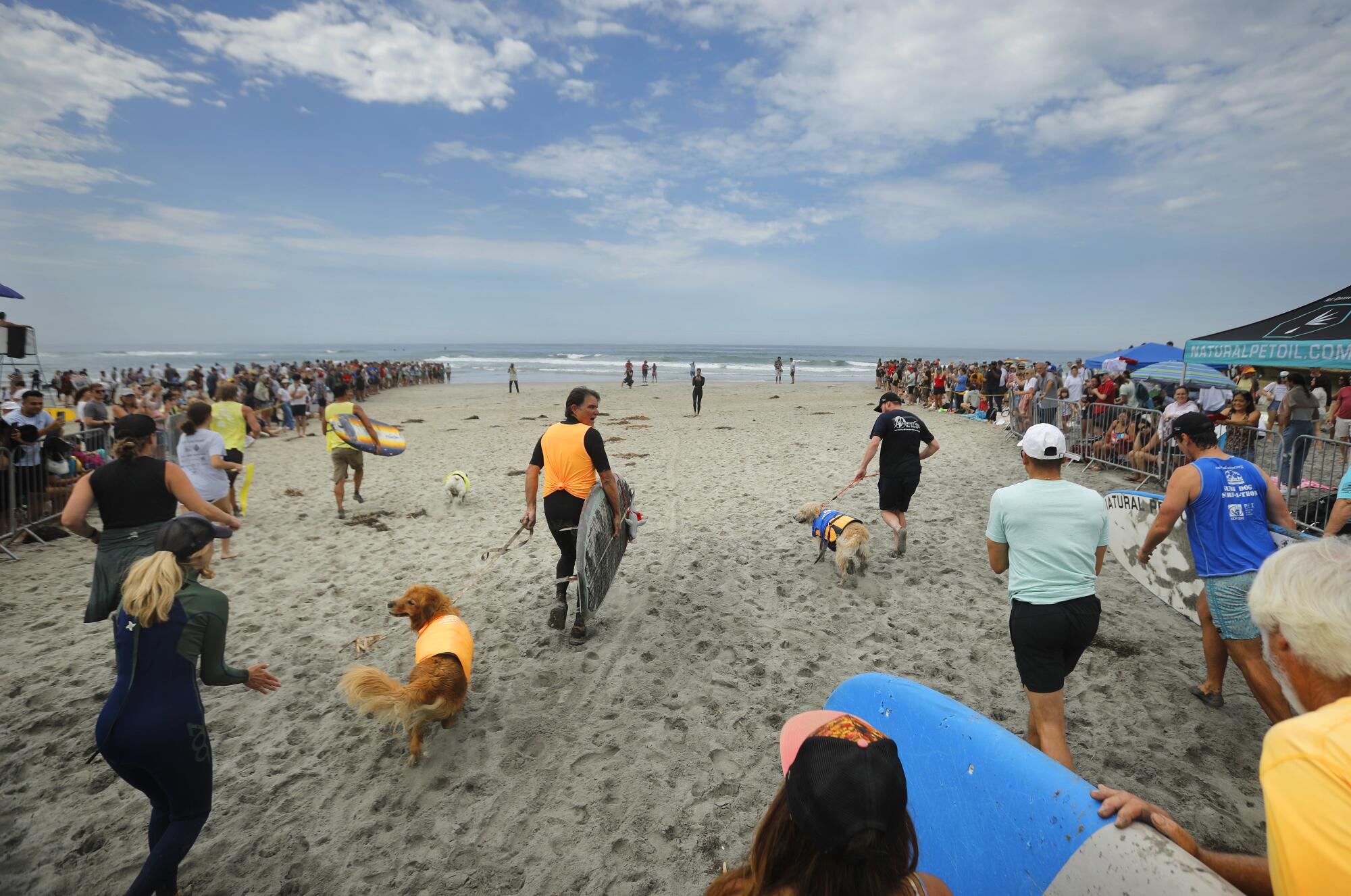 Participates head out to surf in the 18th annual Surf Dog Surf-A-Thon which benefits the Helen 
