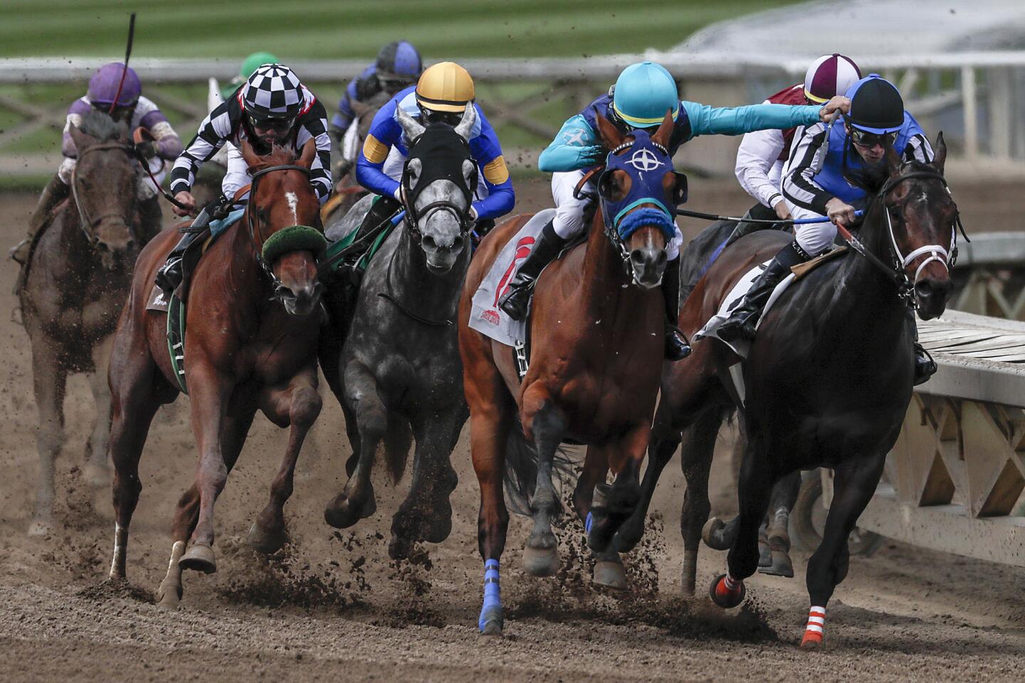 Appreciated, ridden by jockey Aaron Gruyder, heads into the final stretch, neck-and-neck with Bob’s Sniper and jockey Brice Blanc in the first race at Santa Anita Park. Appreciated finished second to Sir Eddie ridden by jockey Flavien Prat (gold helmet).