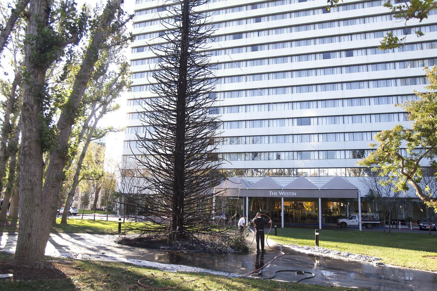 That Louis Vuitton tree at South Coast Plaza sucks so hard compared to the  old tree. : r/orangecounty