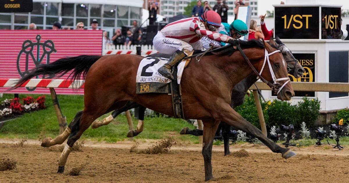 Race favorite Journalism pulls off furious comeback to win 150th Preakness Stakes