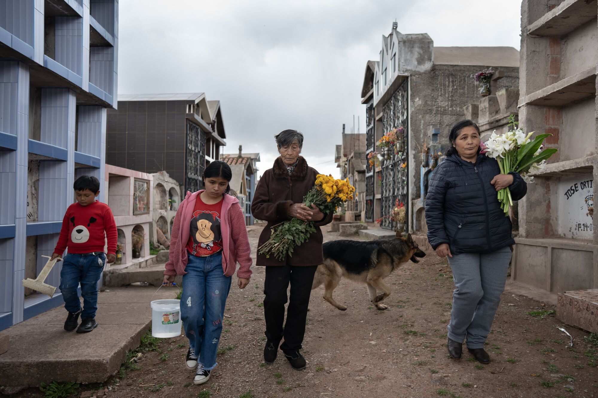 Rage and hope in Peru as protests spill from Andes into Lima 8 Relatives visit the grave of Remo Candia Guevara.
