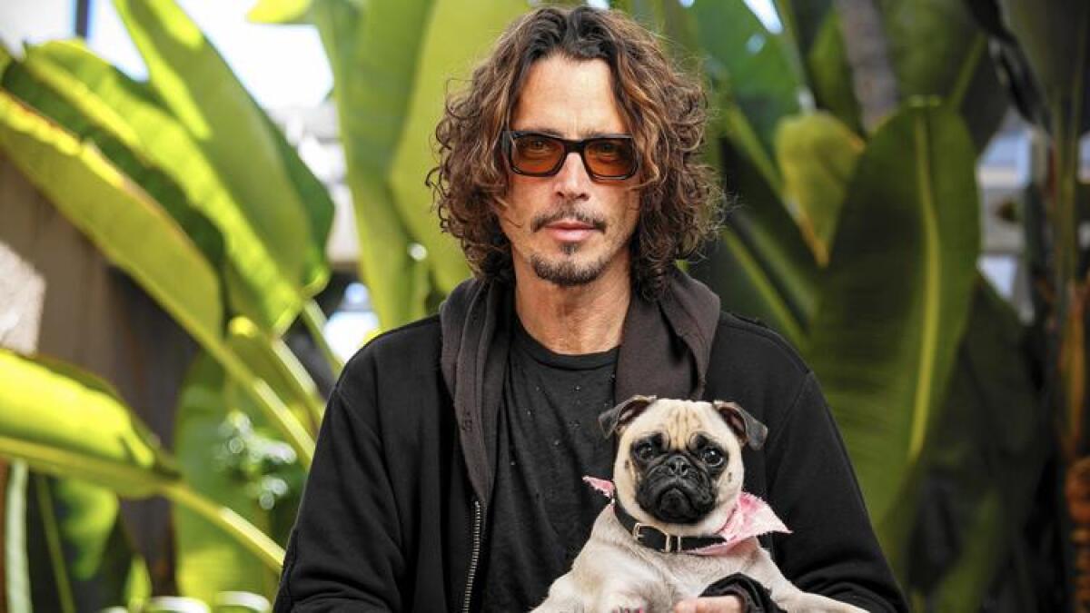 Chris Cornell's wife and family lawyer say a prescription medication the singer was taking may have contributed to his death earlier this week.
