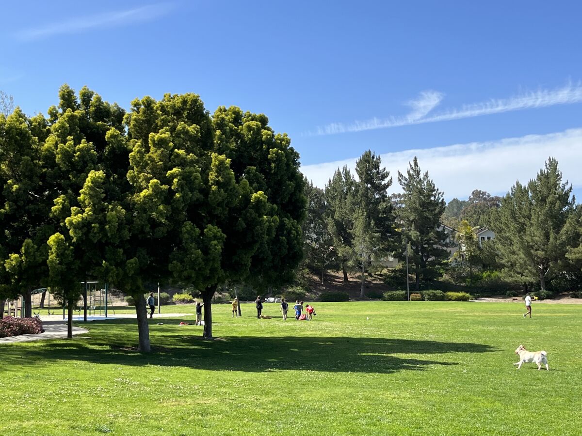 Carmel Knolls Park in Carmel Valley.
