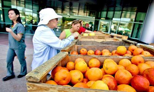 Farmers Market