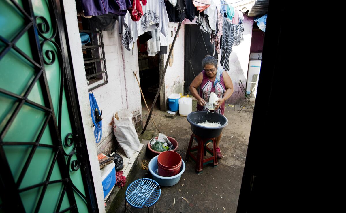 En esta foto, del 10 de octubre de 2019, María Teresa Carballo, corta repollo dentro de su casa en Santa Ana, El Salvador. (Foto AP/Eduardo Verdugo)