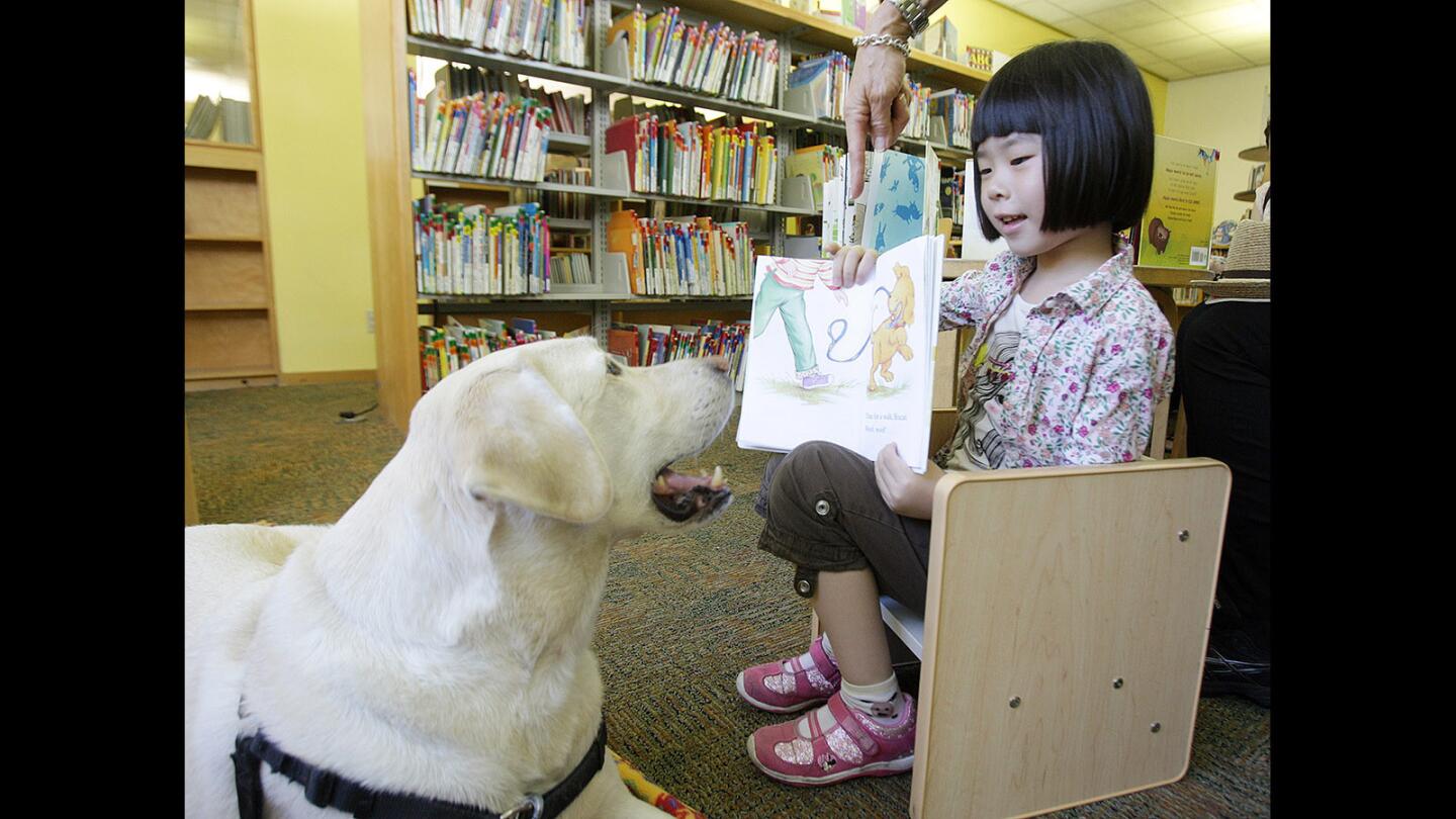 Photo Gallery: Children read to therapy dog at Montrose Library