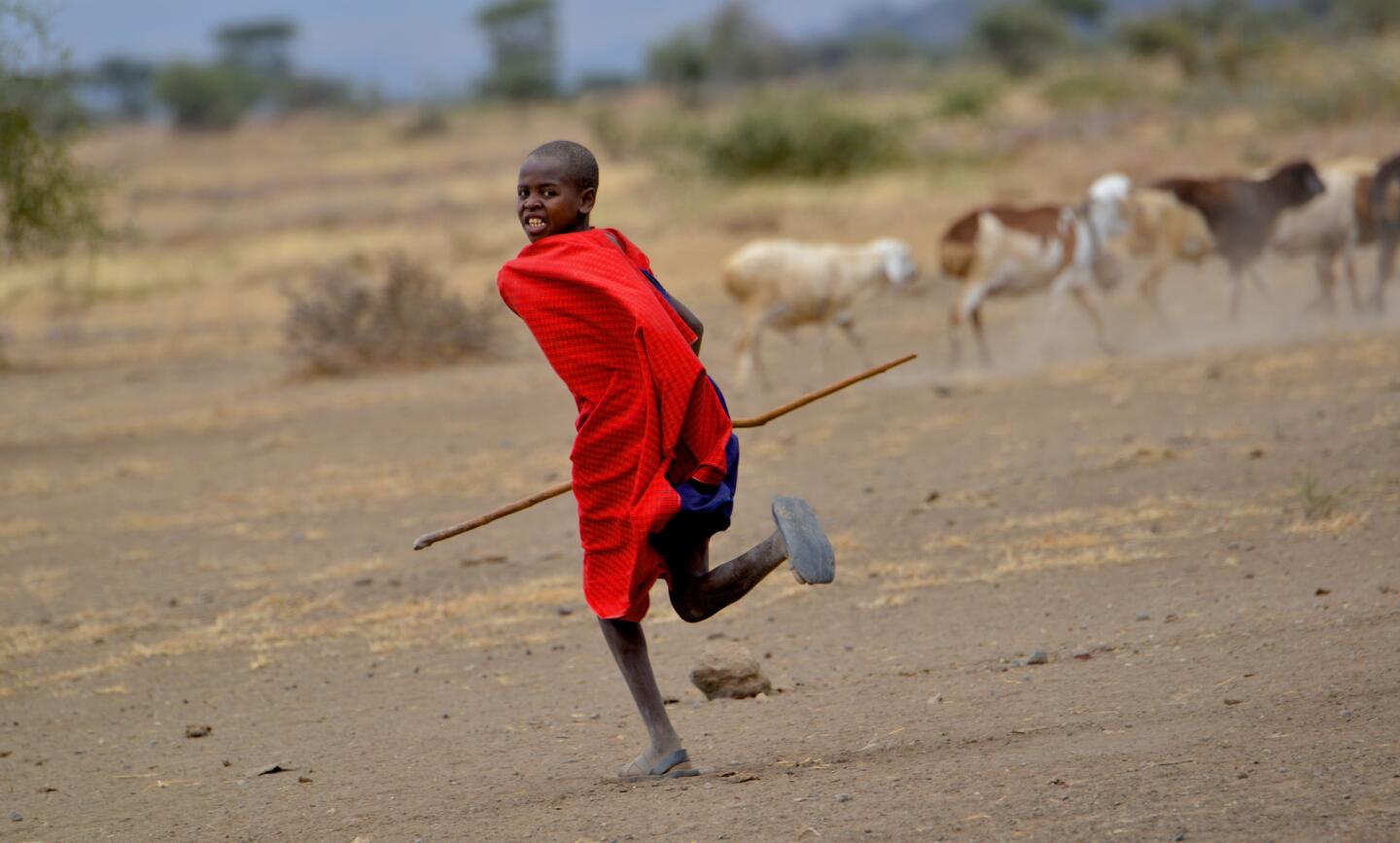 Masai youth