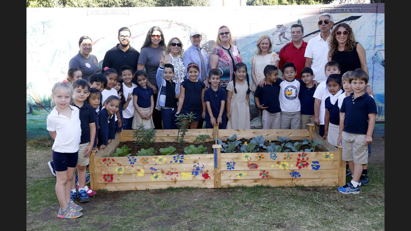 Photo Gallery: Edison Elementary/Glendale Kiwanis unveil new vegetable gardens on school grounds