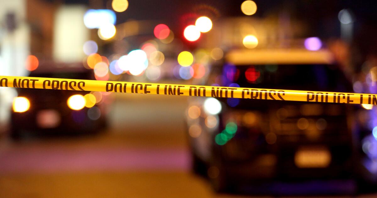 LAPD investigation continues into New 12 months’s Eve taking pictures by ICE agent LAPD investigation continues into New 12 months’s Eve taking pictures by ICE agent