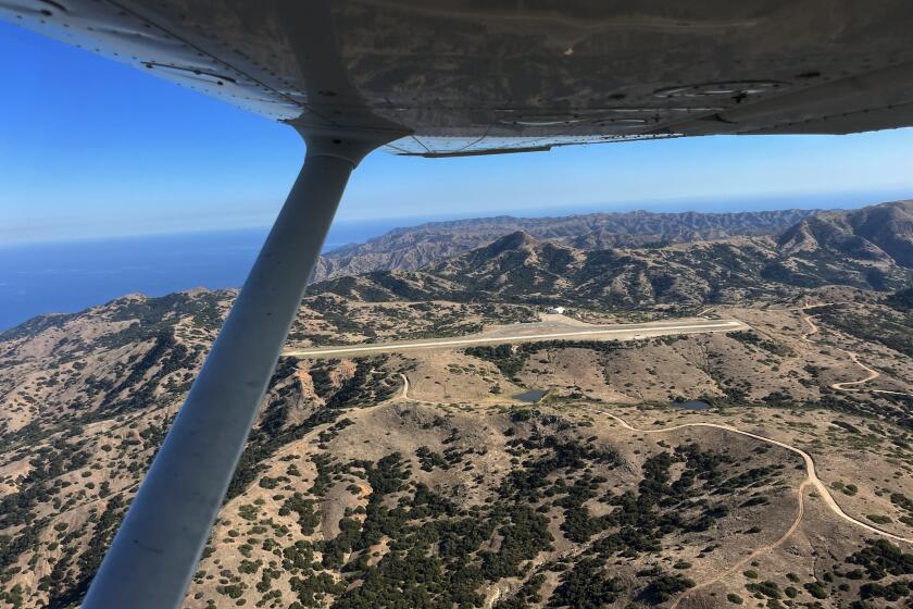 Catalina, California-Oct. 10, 2024-The plane from the Santa Monica flight school that broke down and was unable to be flown. This is Pete Engler, he's quoted in the story. (Jack Dolan / Los Angeles Times)