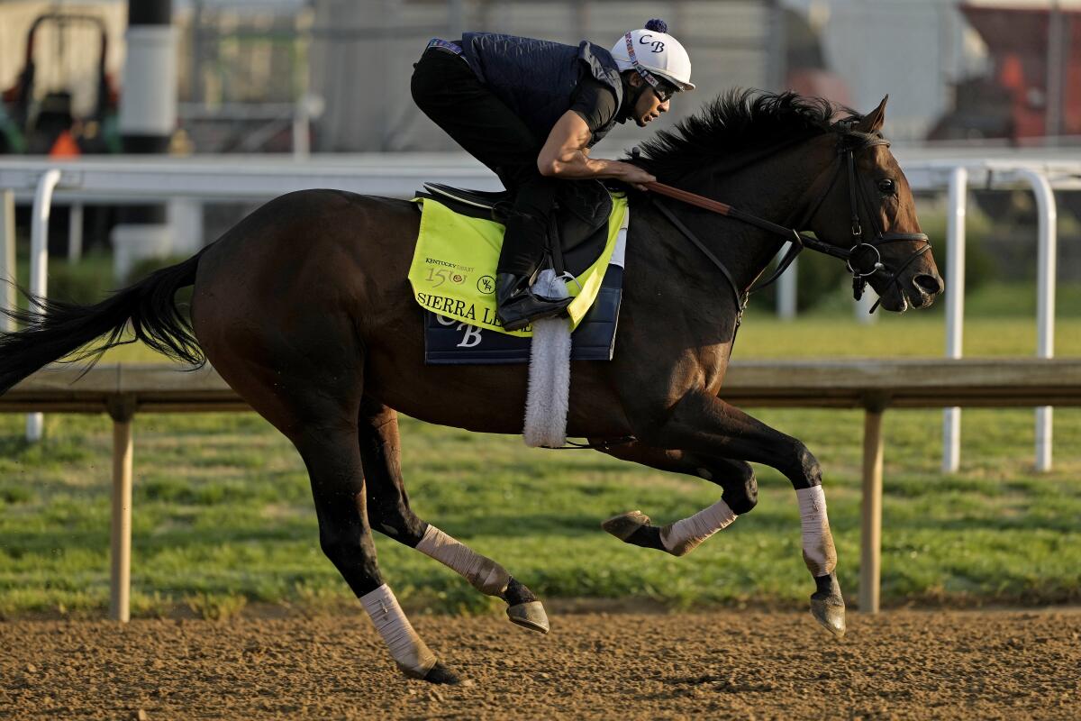 Kentucky Derby entrant Sierra Leone works out at Churchill Downs