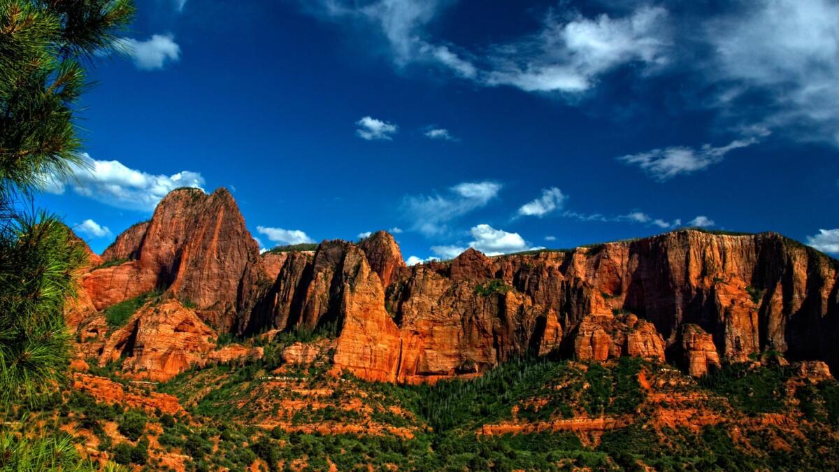 A trip to Zion National Park in Utah opened the writer's eyes to amazing sites close to home.
