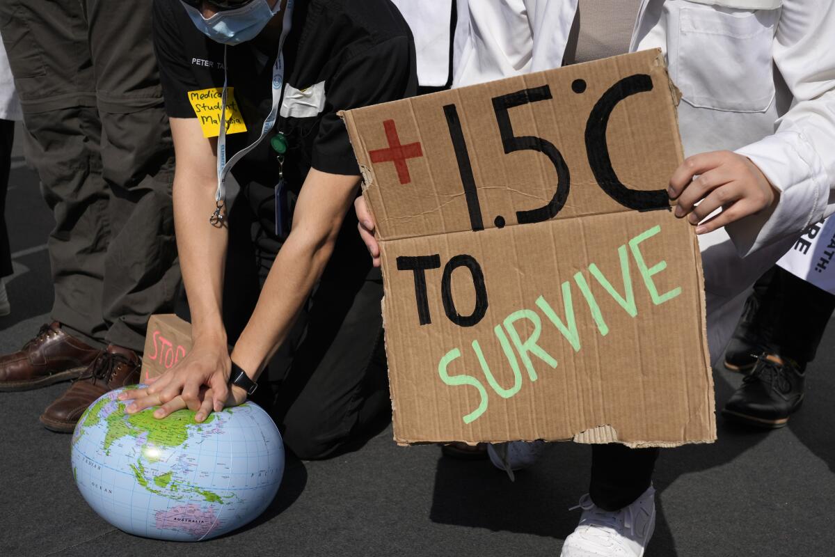 Demonstrators at the U.N. climate summit in Egypt