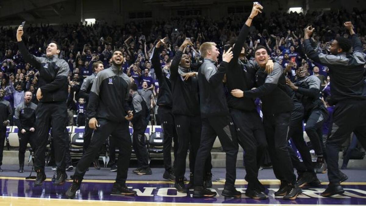 Northwestern players and fans react on March 12 after the Wildcats were selected to play in the NCAA tournament for the first time.