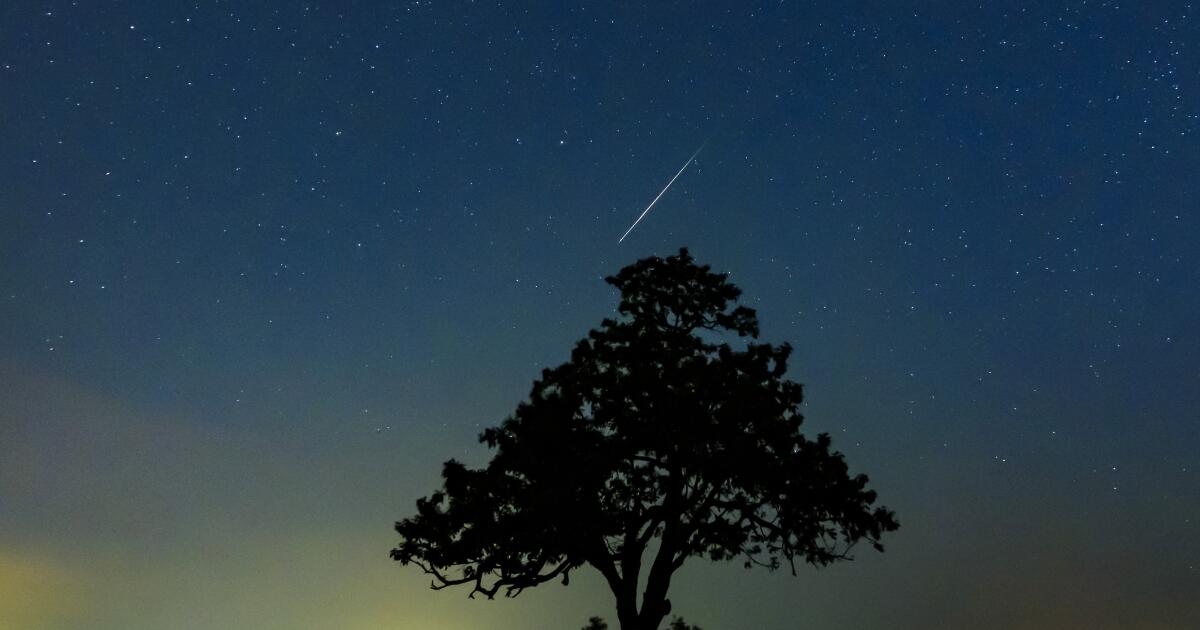 The Perseid meteor shower peaks this weekend, and it’s even better this year