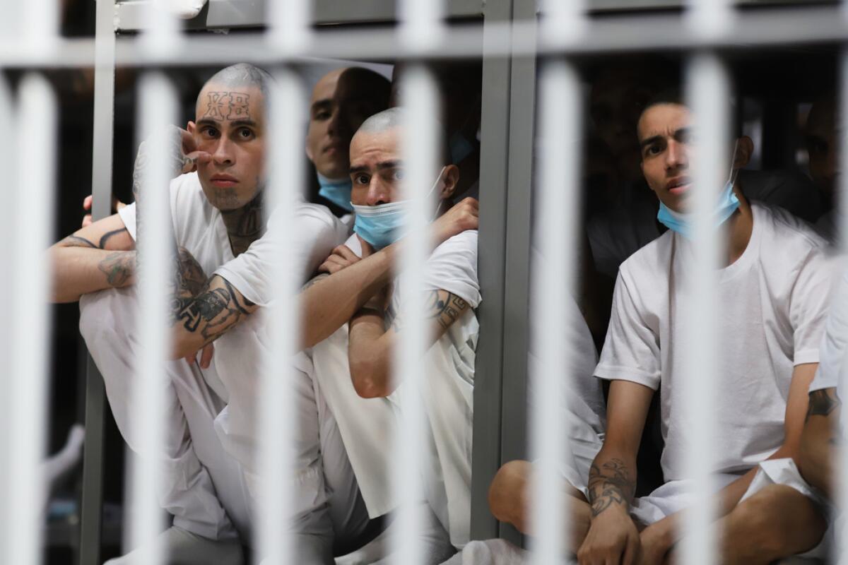 Bukele y su partido impulsan reforma para establecer cadena perpetua en El Salvador - Los Angeles Times