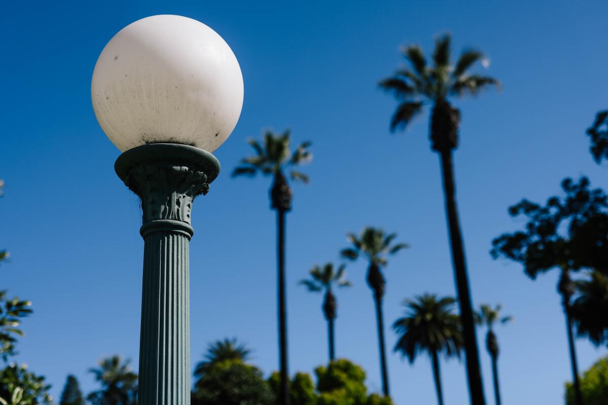 A bronze street lamp post is seen along Orange Grove Boulevard. Many street lamp posts have been stolen.