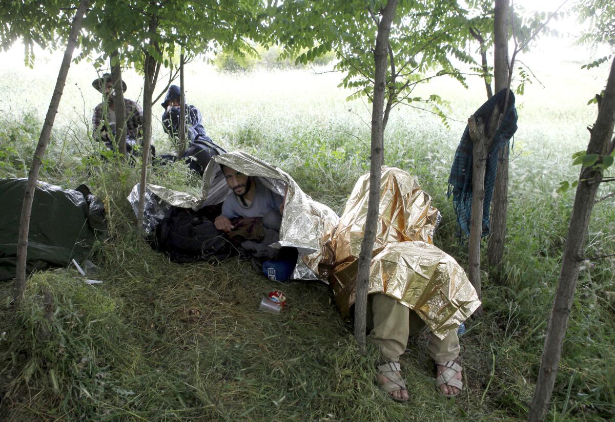 En esta imagen migrantes sirios se protegen de la lluvia en un bosquecillo cerca de una vía al norte de Macedonia. El número de personas obligadas a abandonar sus casas por conflictos en todo el mundo creció a un récord de 59,5 millones.