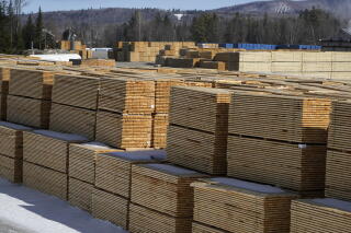 Stacks of wood sheets sit in a lumber yard