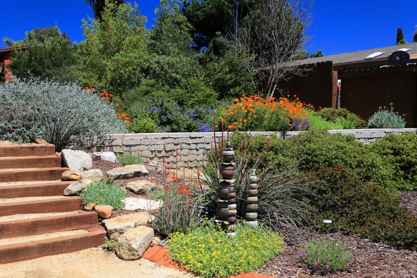 The California Native Plant Society San Diego’s 8th annual Native Garden Tour is taking place April 9. Visit cnpssd.org.