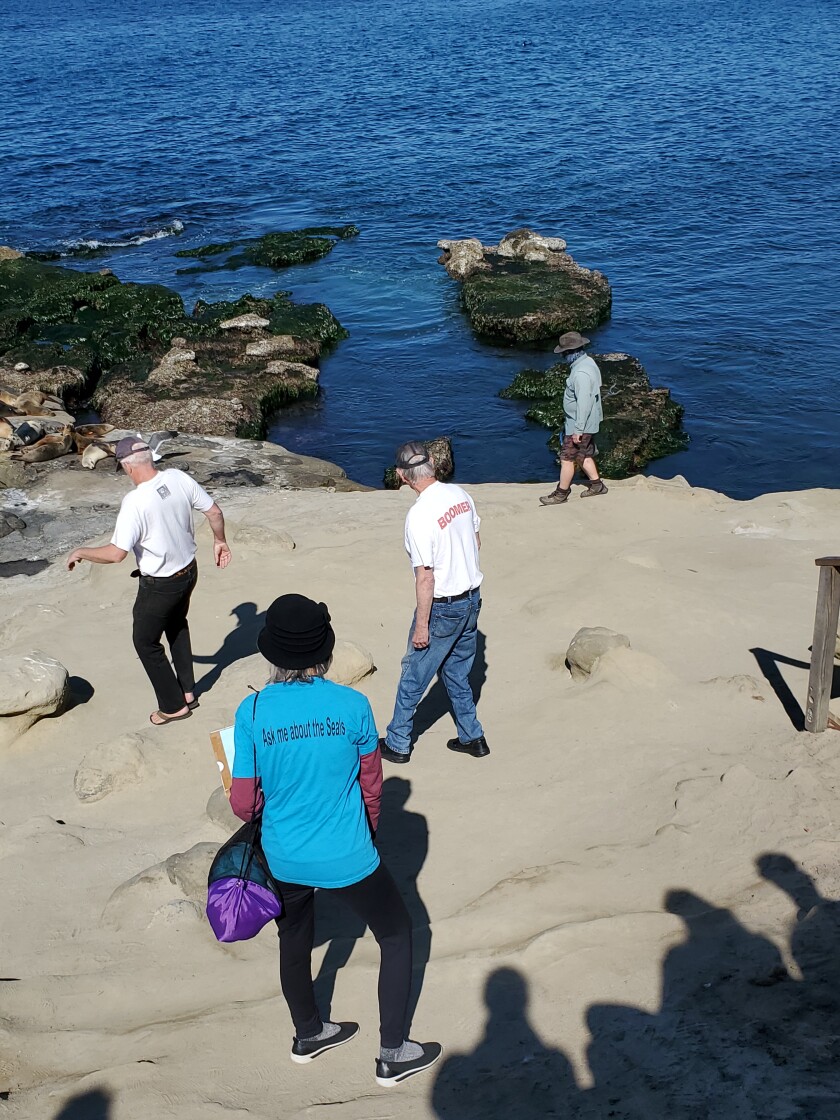 Sierra Club Seal Society docent Carol Archibald addresses people walking along the bluffs at Point La Jolla.