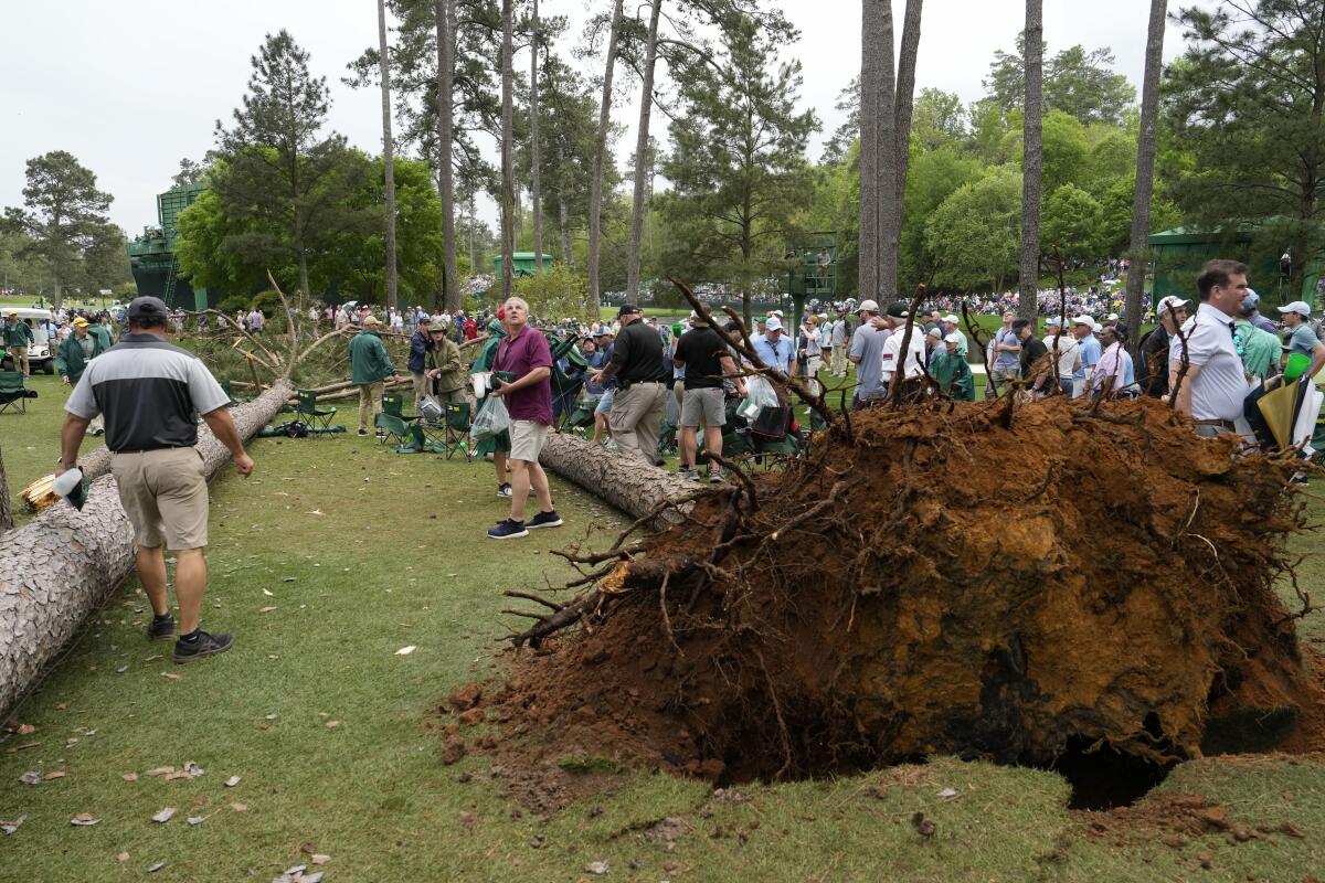Patrons move away from two trees that blew over on the 17th hole during the second round.