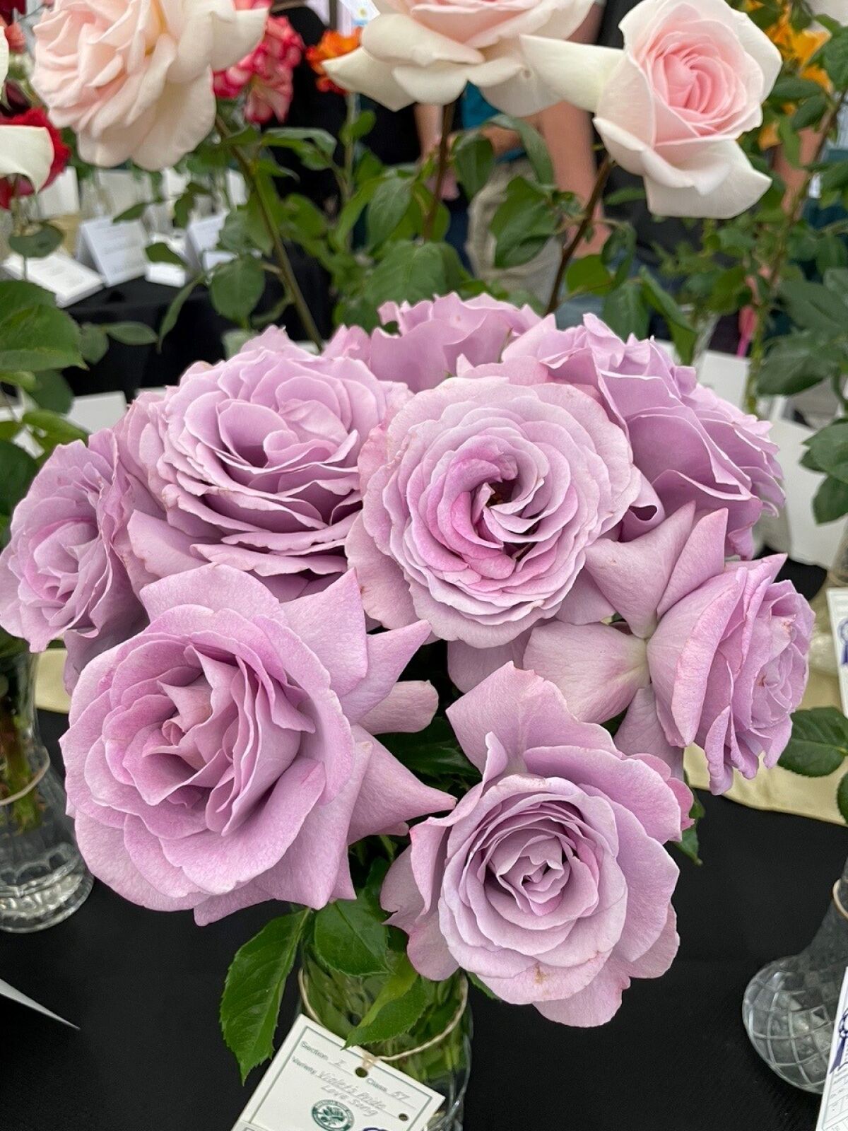 A vase holds roses with lavender blooms at the San Diego Rose Society's annual Rose Show.
