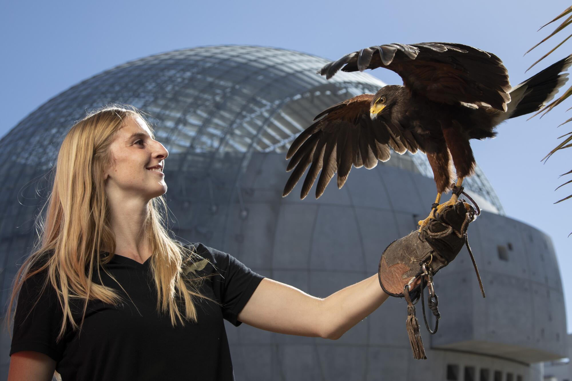 A woman looks at a hawk sitting on her gloved wrist.